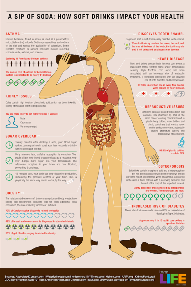 infographic soda